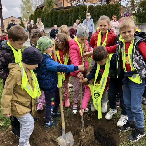 166B7728-3A81-44ED-A336-AF82D2A0A5A8