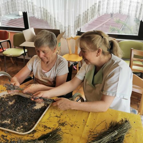 292594138_435308448475228_3956925024824626567_n